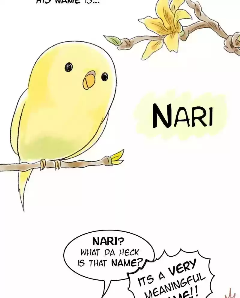 A Budgie's Life Chapter 35: Ep.35: