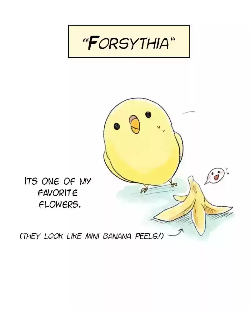 A Budgie's Life Chapter 35: Ep.35: