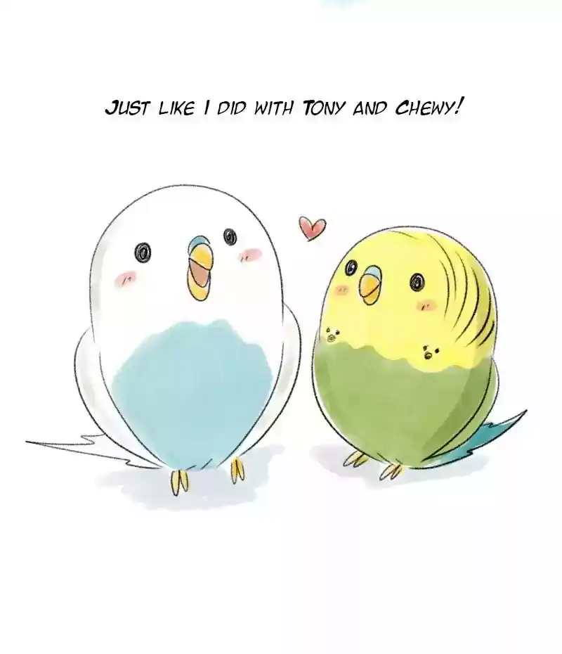 A Budgie's Life Chapter 35: Ep.35: