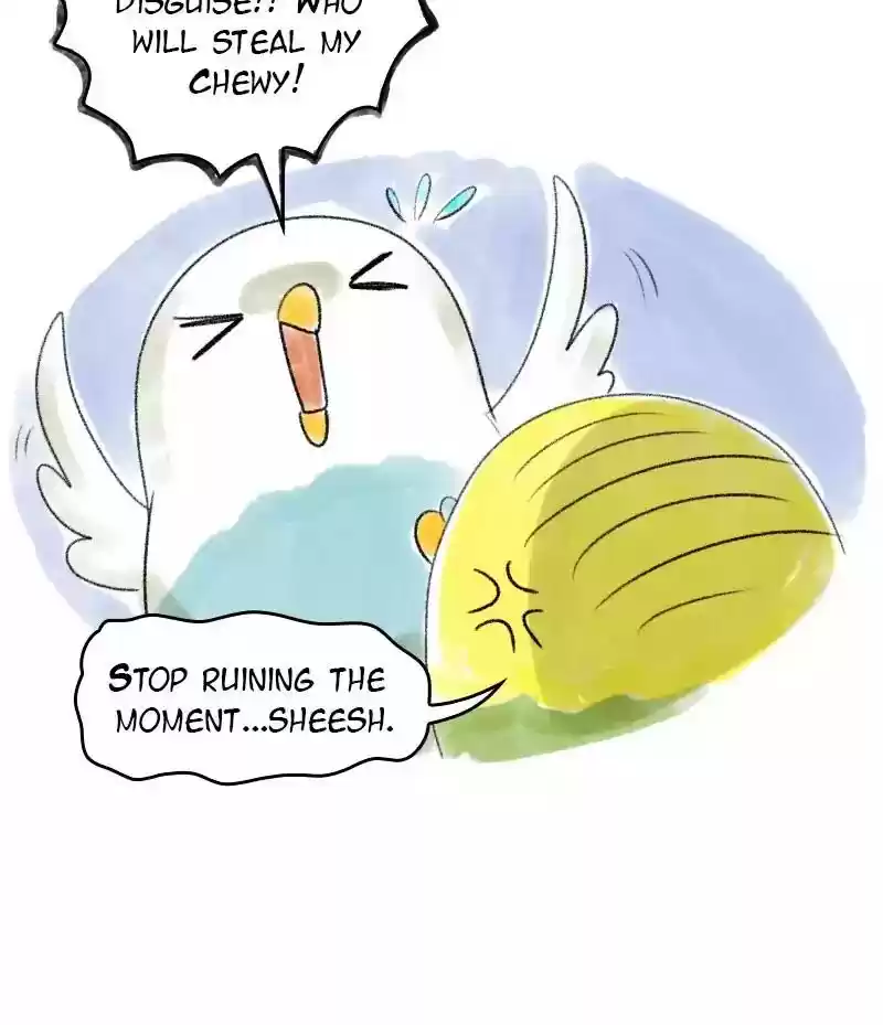 A Budgie's Life Chapter 35: Ep.35: