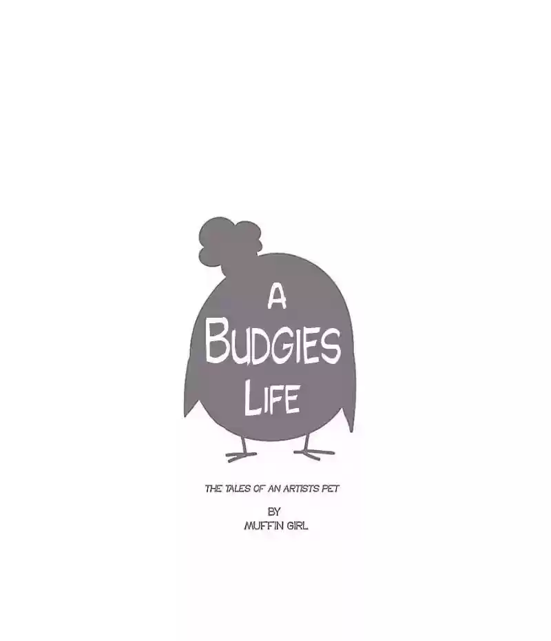 A Budgie's Life Chapter 35: Ep.35: