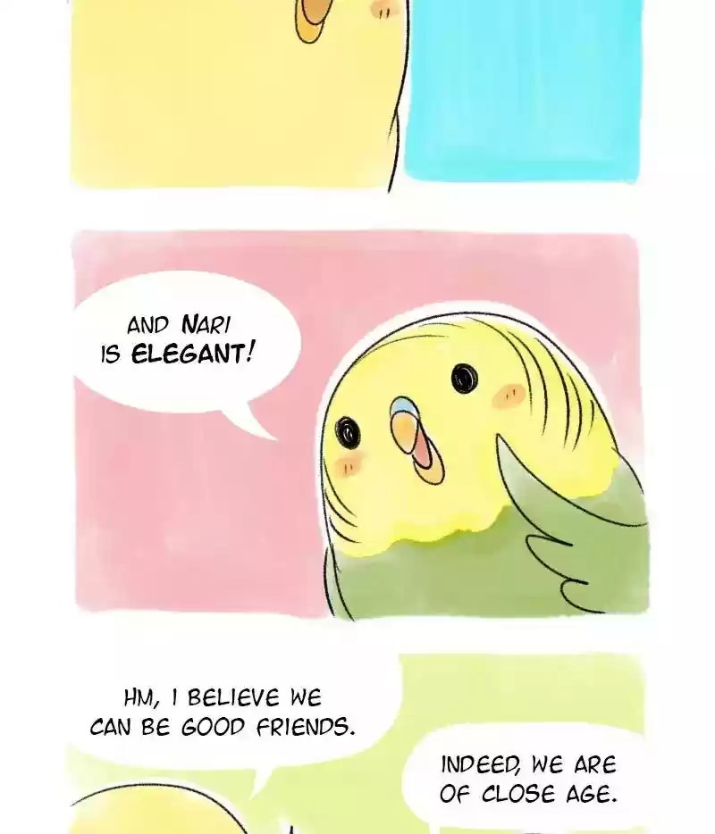 A Budgie's Life Chapter 35: Ep.35: