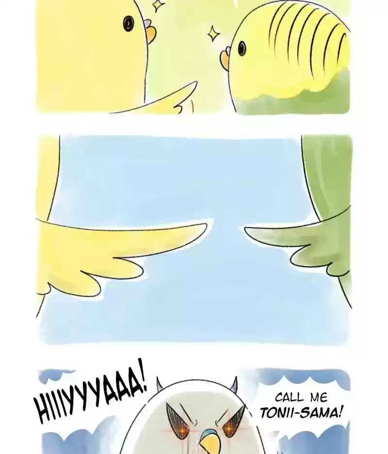 A Budgie's Life Chapter 35: Ep.35: