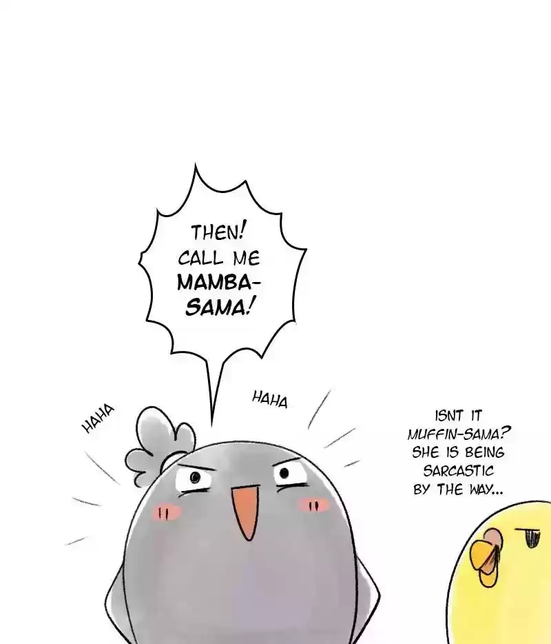 A Budgie's Life Chapter 35: Ep.35: