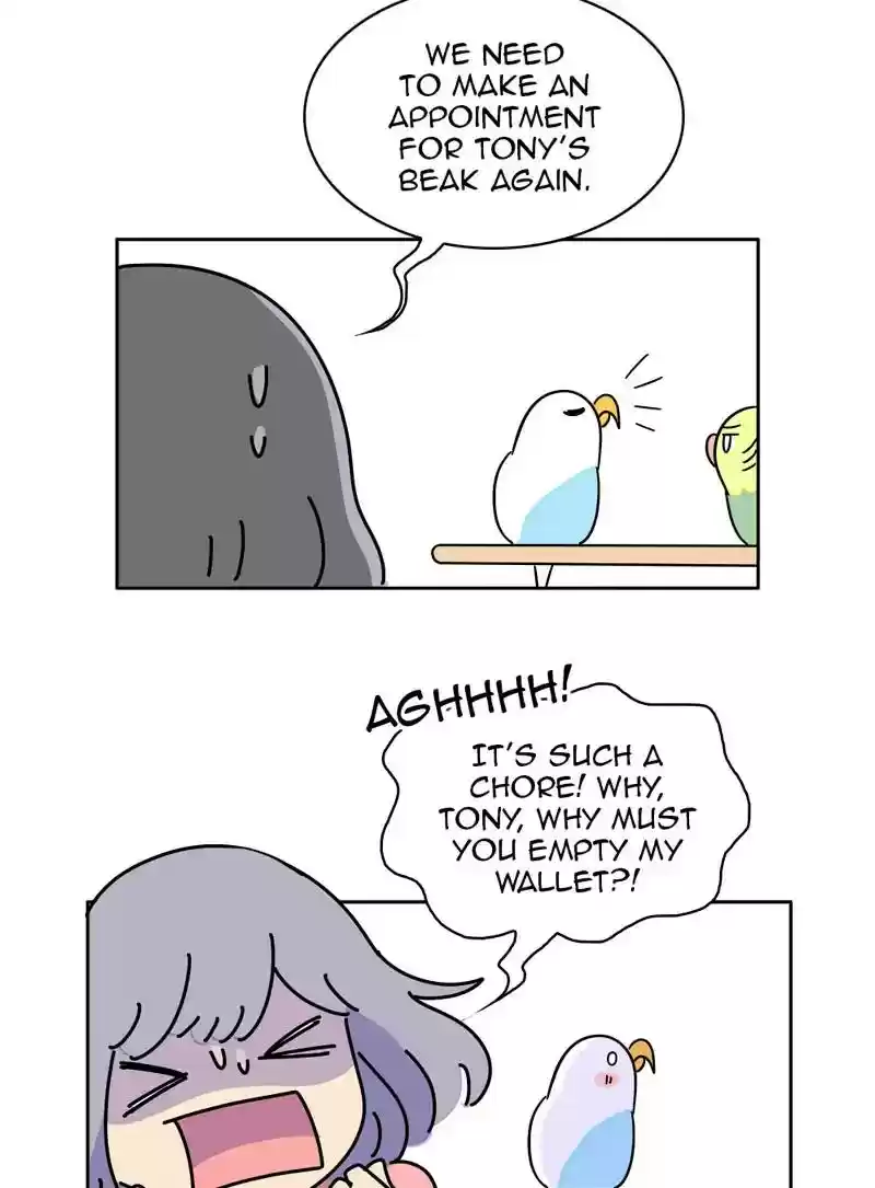 A Budgie's Life Chapter 350: Ep.349:
