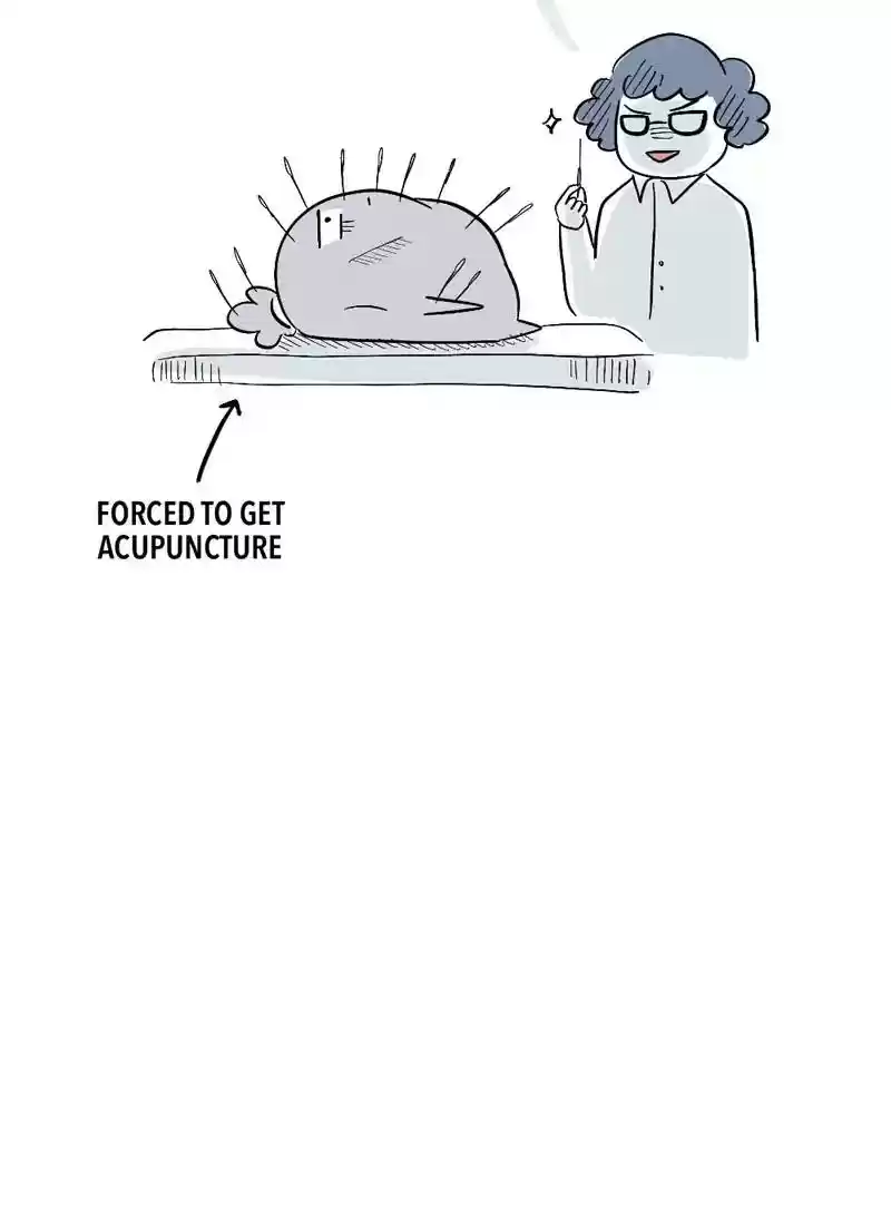 A Budgie's Life Chapter 351: