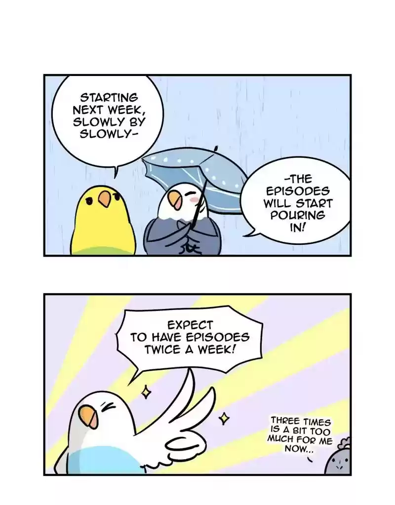 A Budgie's Life Chapter 352: Ep.350: