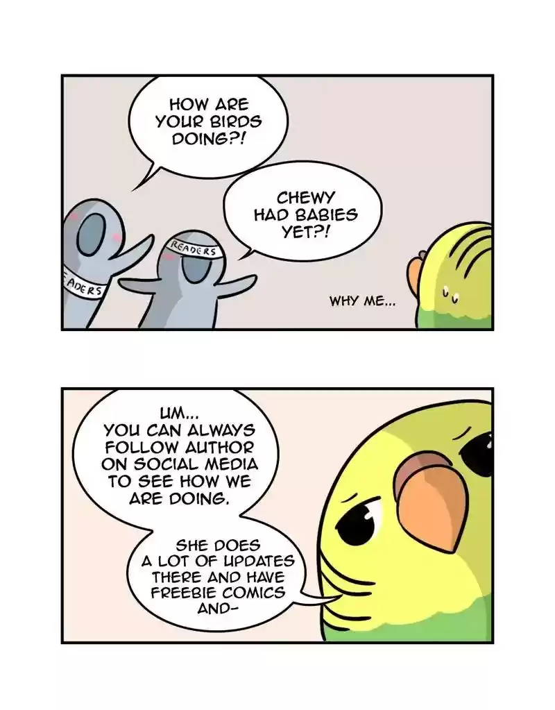 A Budgie's Life Chapter 352: Ep.350: