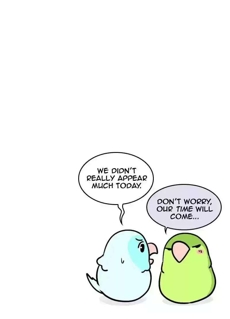 A Budgie's Life Chapter 352: Ep.350: