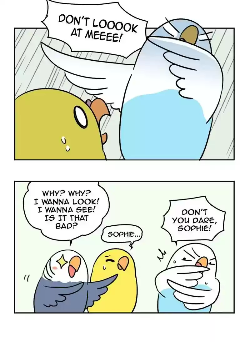 A Budgie's Life Chapter 354: Ep.352: