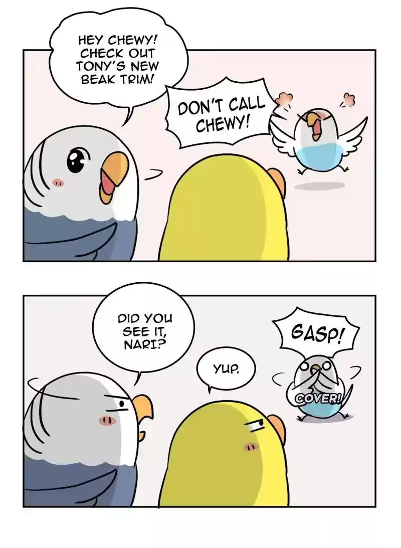 A Budgie's Life Chapter 354: Ep.352: