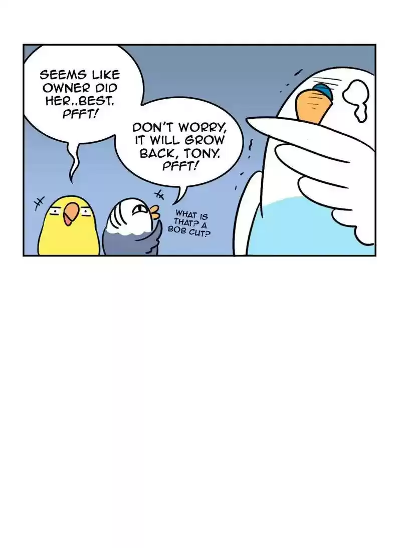 A Budgie's Life Chapter 354: Ep.352: