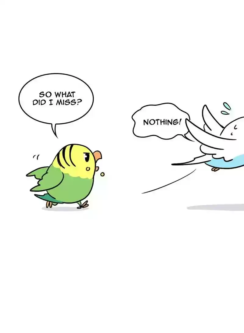 A Budgie's Life Chapter 354: Ep.352: