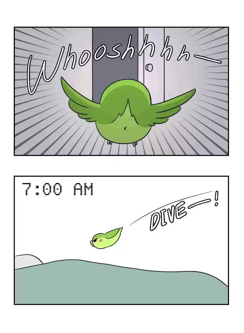 A Budgie's Life Chapter 355: Ep.353: