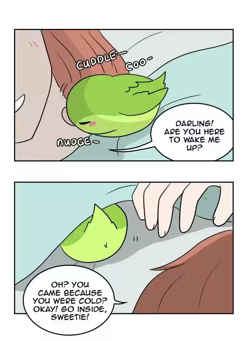 A Budgie's Life Chapter 355: Ep.353: