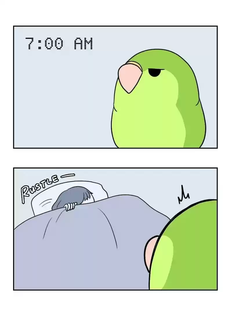 A Budgie's Life Chapter 355: Ep.353: