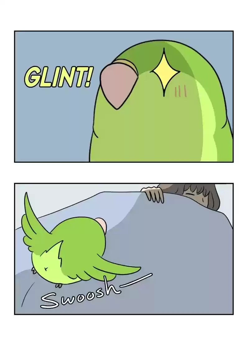 A Budgie's Life Chapter 355: Ep.353: