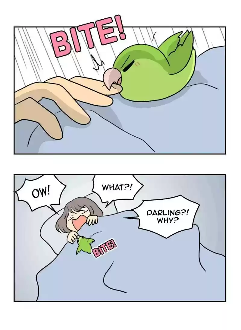 A Budgie's Life Chapter 355: Ep.353: