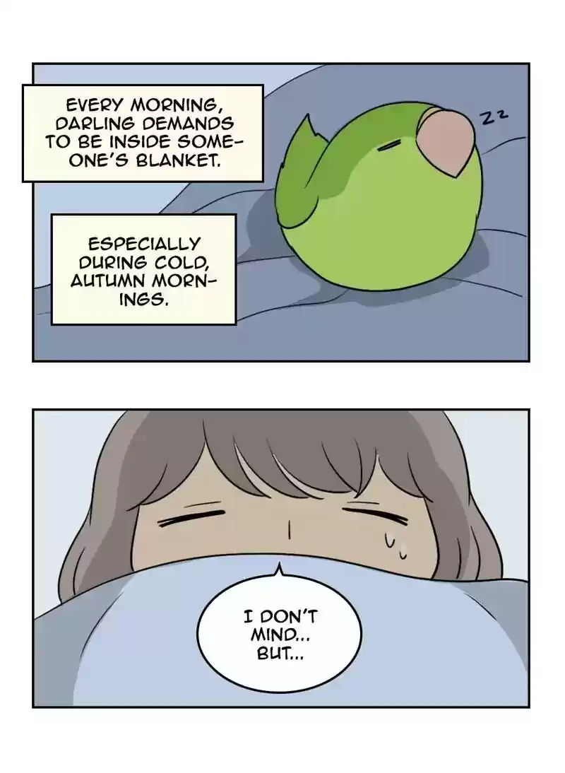 A Budgie's Life Chapter 355: Ep.353: