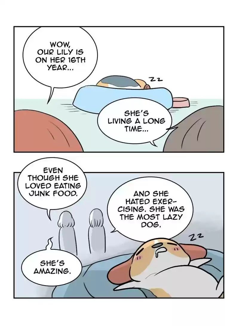 A Budgie's Life Chapter 356: Ep.354: