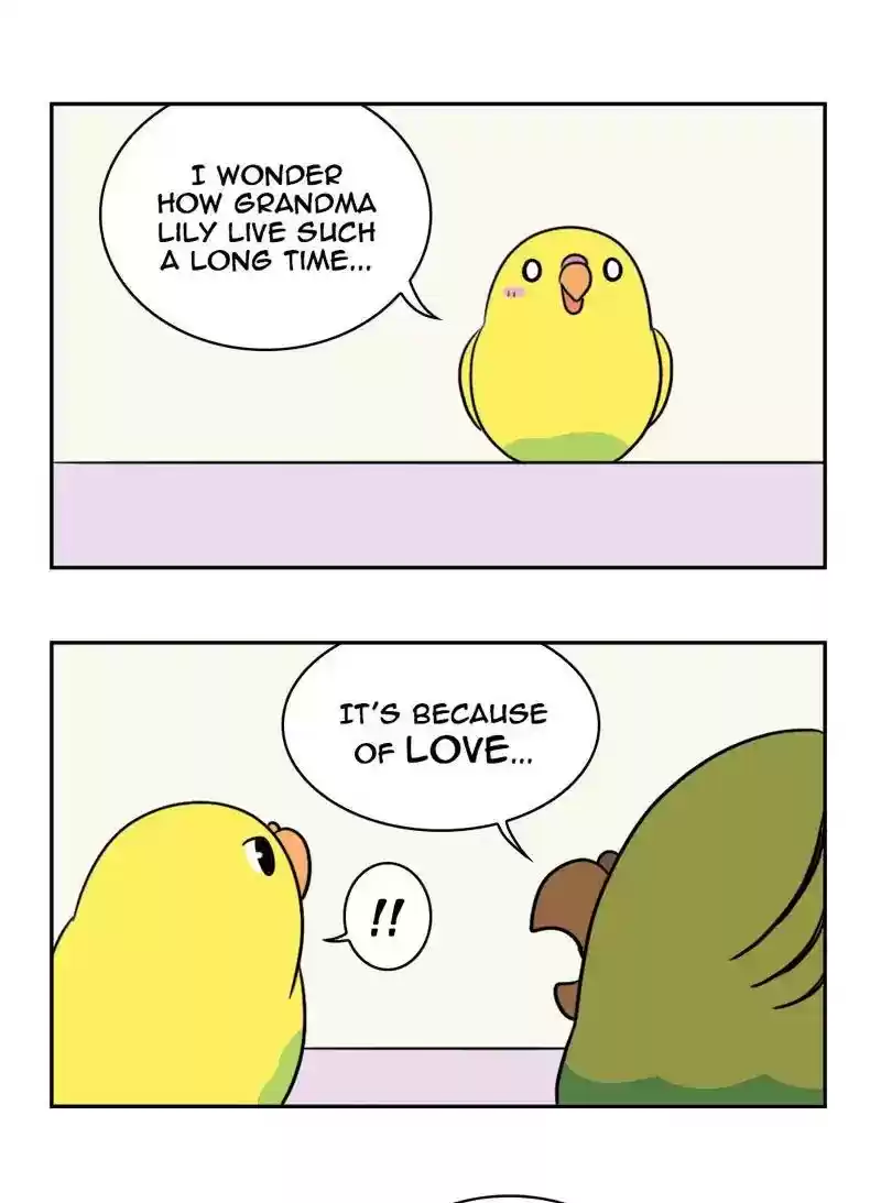 A Budgie's Life Chapter 356: Ep.354: