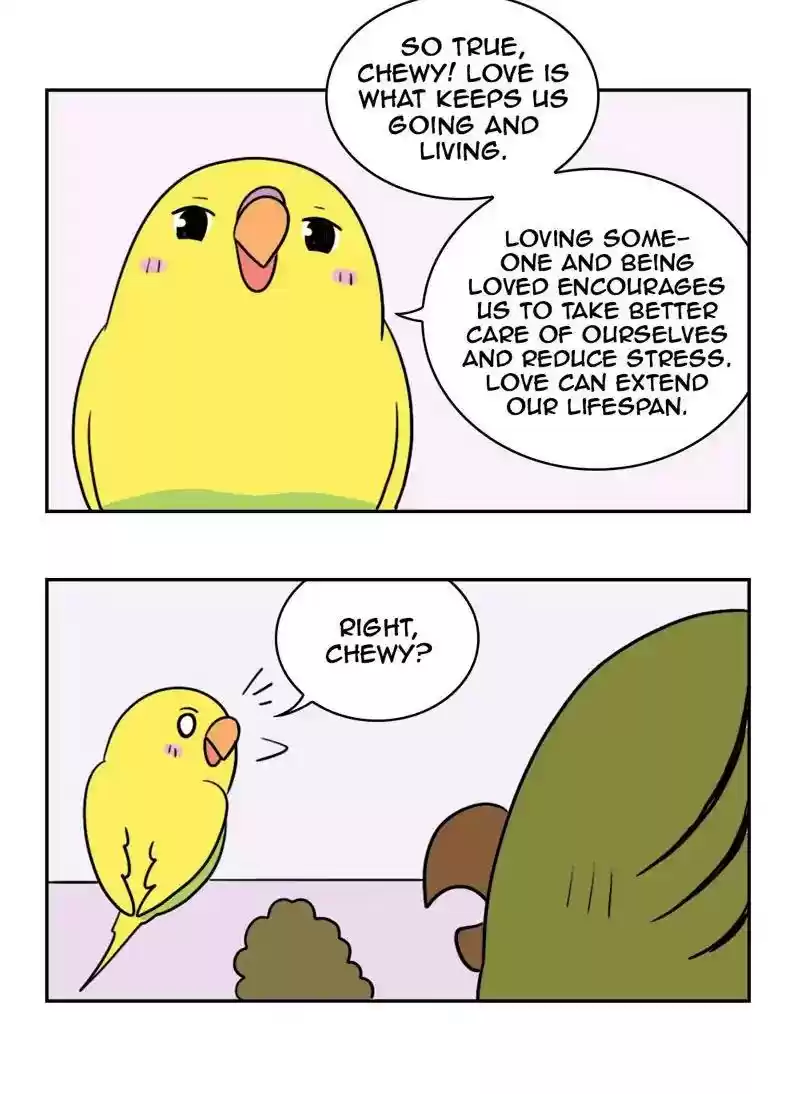 A Budgie's Life Chapter 356: Ep.354: