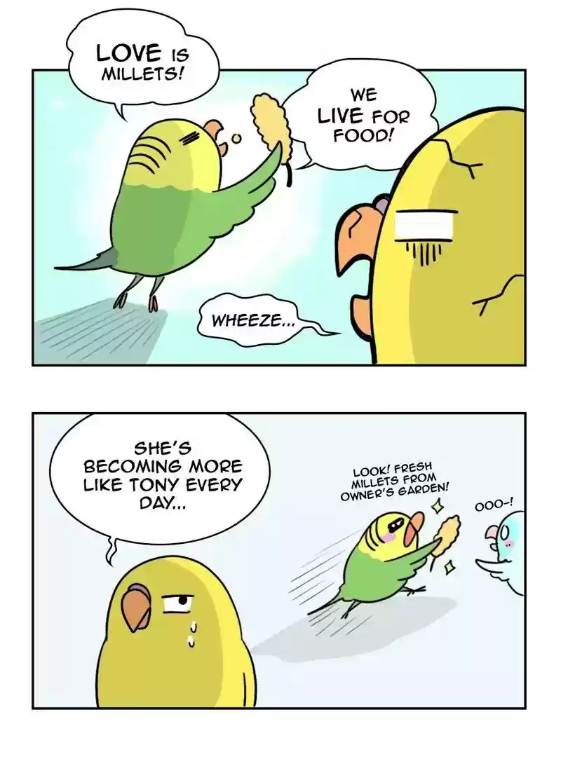 A Budgie's Life Chapter 356: Ep.354: