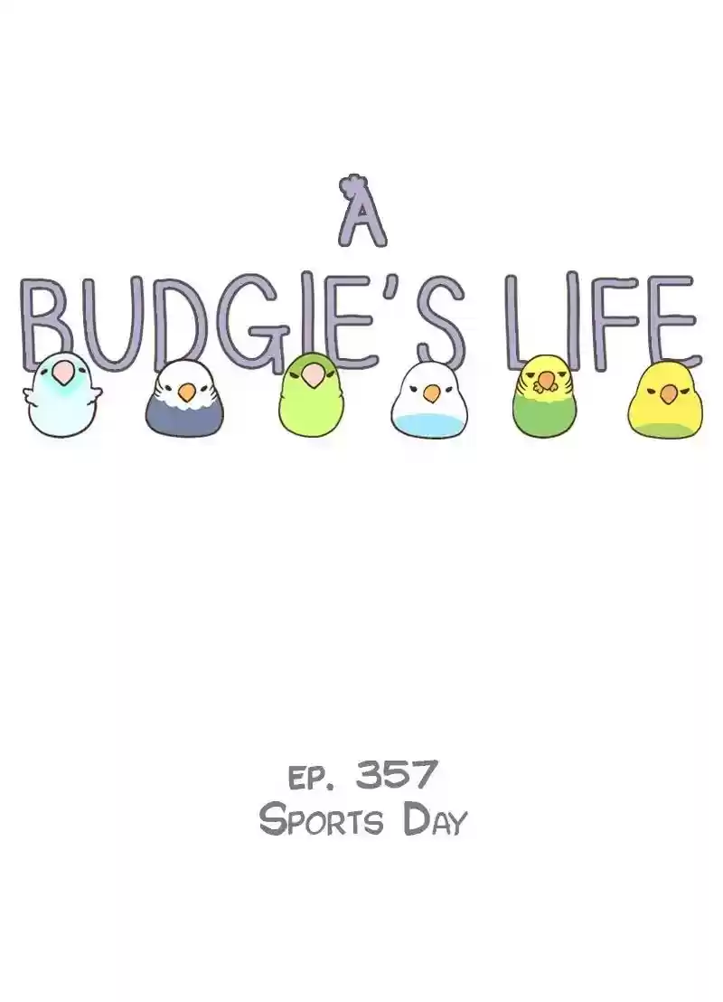 A Budgie's Life Chapter 357: Ep.355: