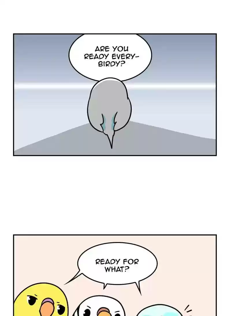 A Budgie's Life Chapter 357: Ep.355: