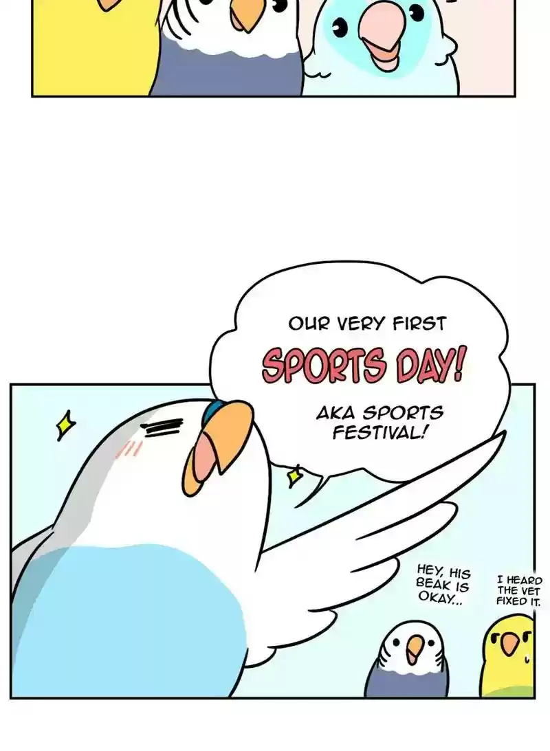 A Budgie's Life Chapter 357: Ep.355: