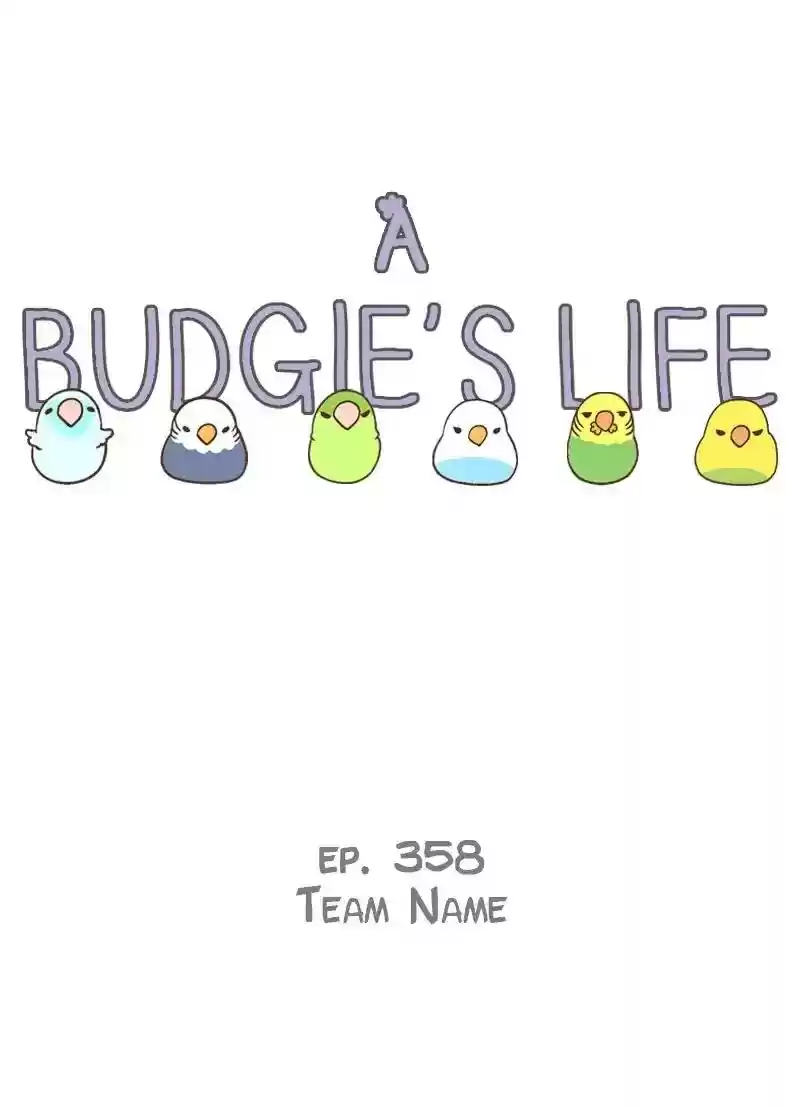 A Budgie's Life Chapter 358: Ep.356: