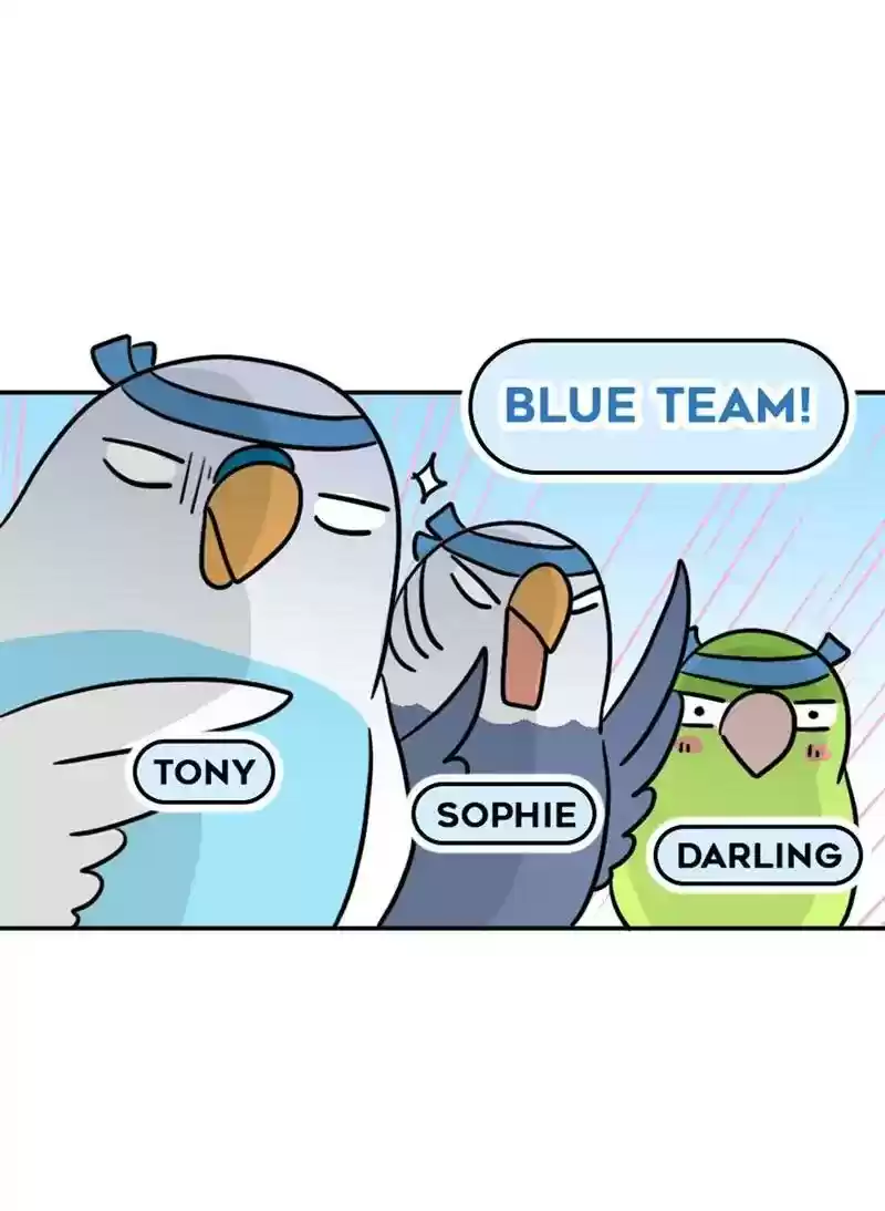 A Budgie's Life Chapter 358: Ep.356: