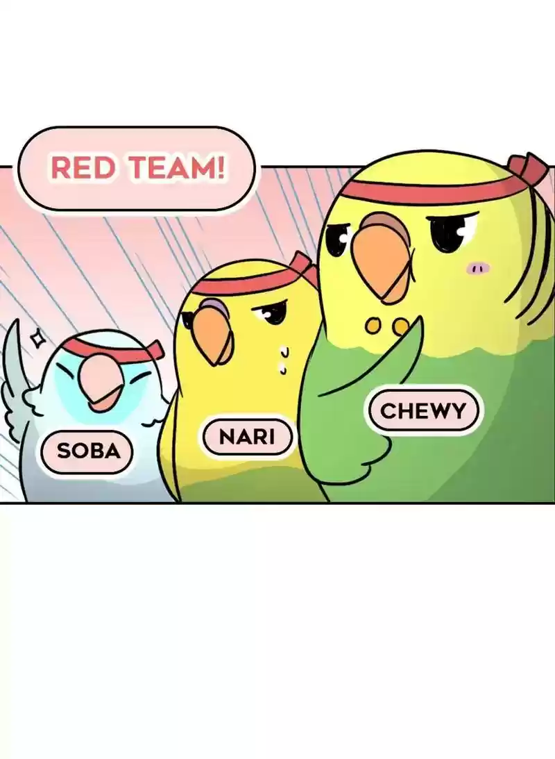 A Budgie's Life Chapter 358: Ep.356: