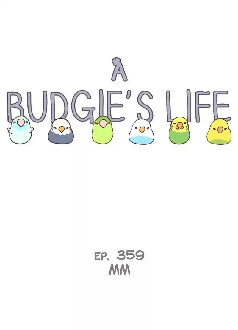 A Budgie's Life Chapter 359: Ep.357: