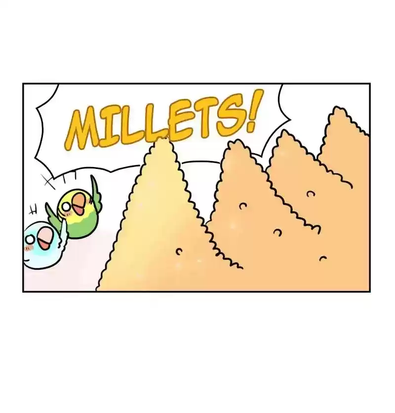 A Budgie's Life Chapter 359: Ep.357: