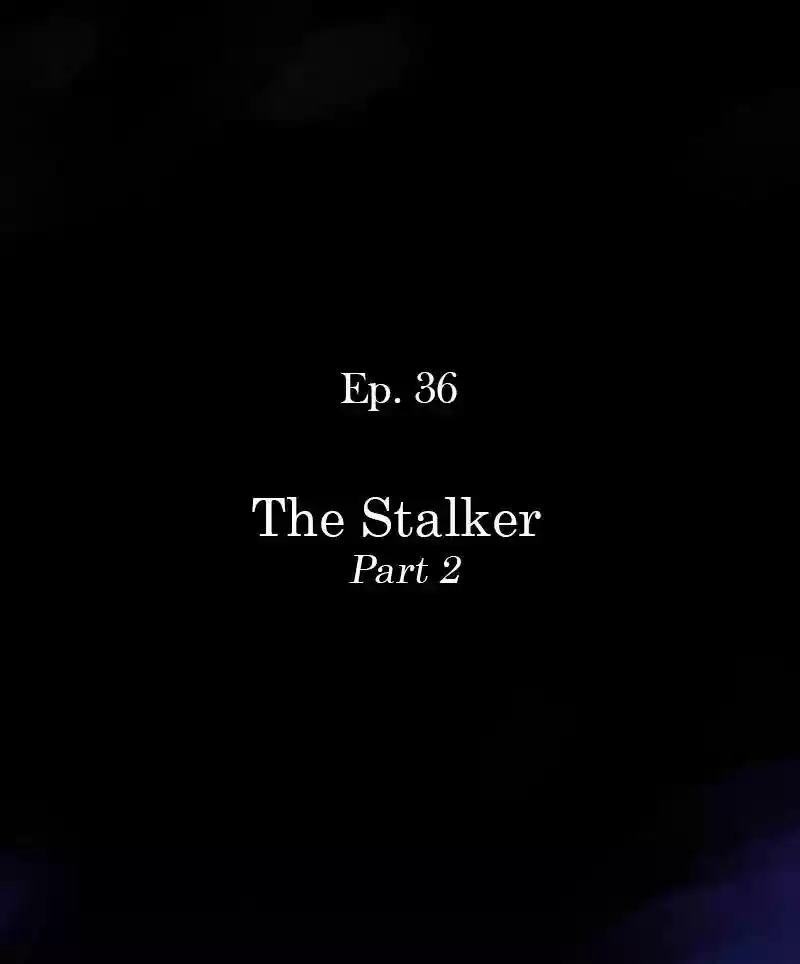 A Budgie's Life Chapter 36: Ep.36: