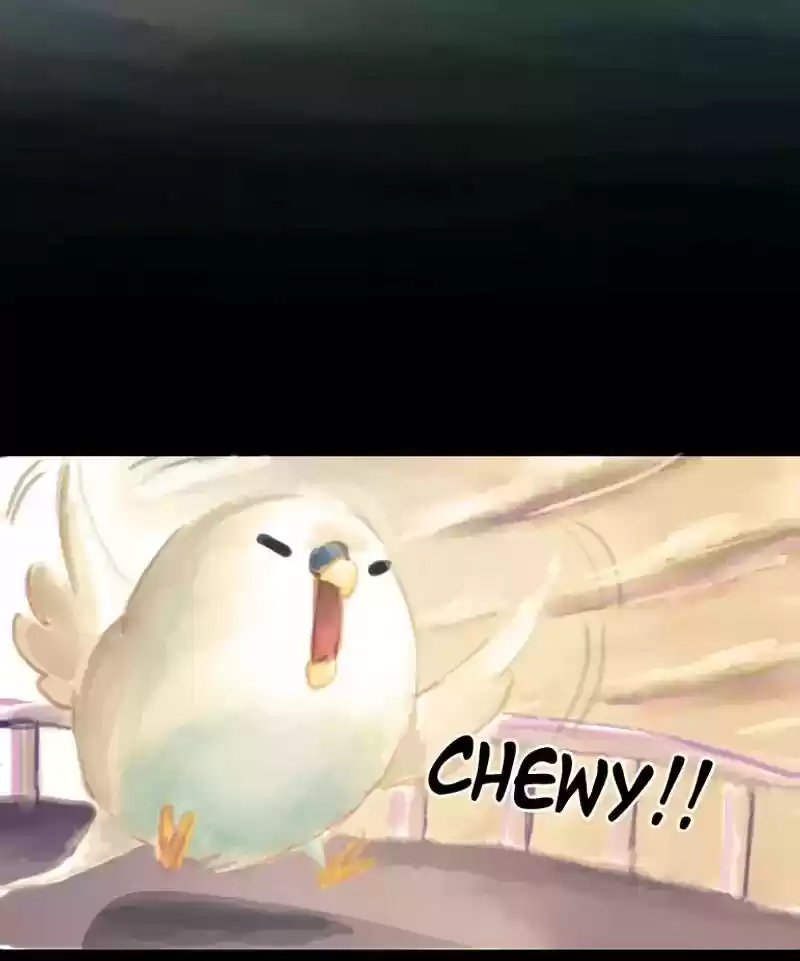 A Budgie's Life Chapter 36: Ep.36: