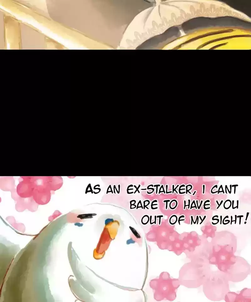 A Budgie's Life Chapter 36: Ep.36: