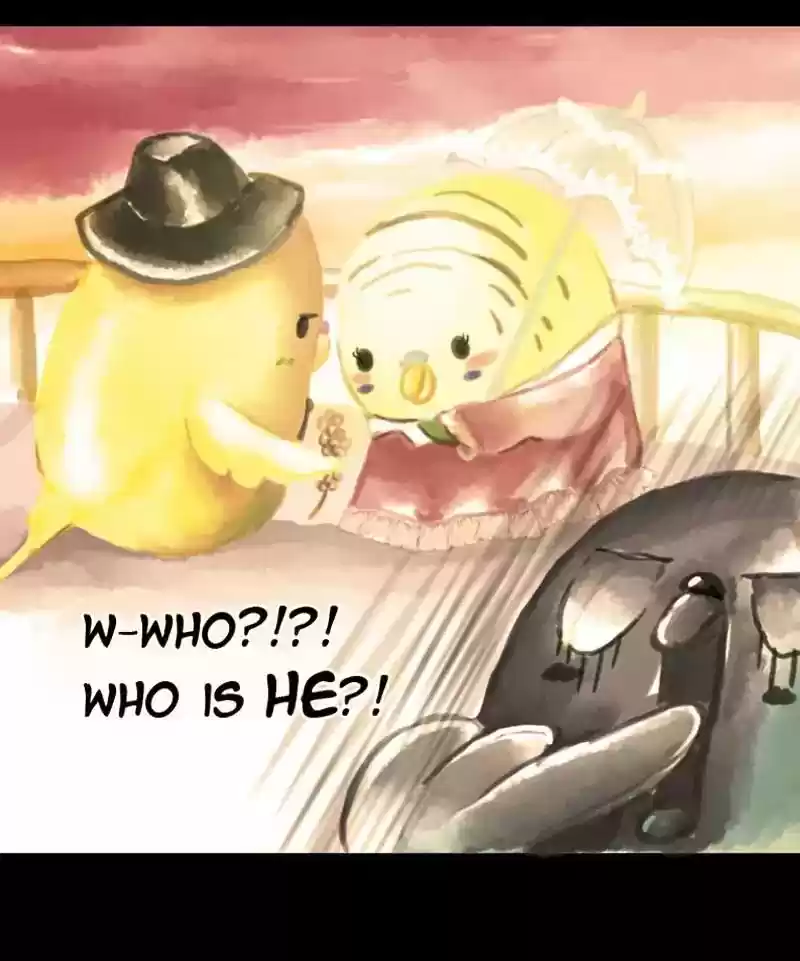 A Budgie's Life Chapter 36: Ep.36: