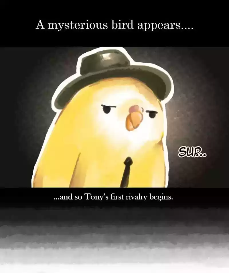 A Budgie's Life Chapter 36: Ep.36: