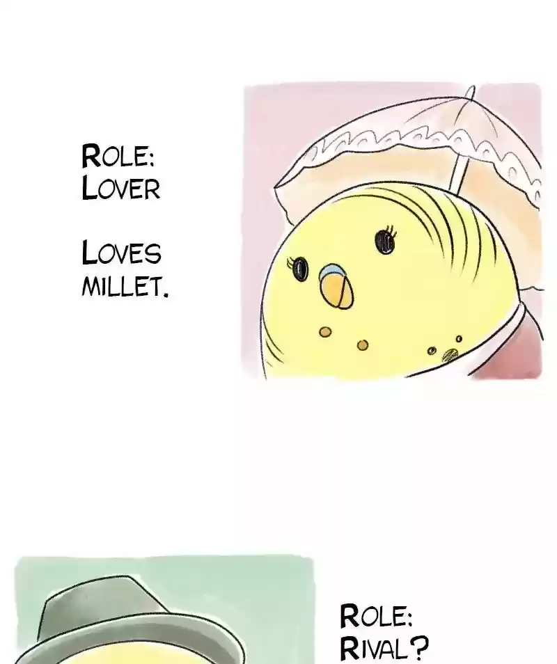 A Budgie's Life Chapter 36: Ep.36: