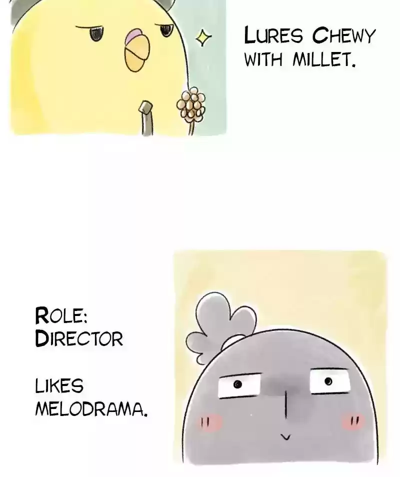 A Budgie's Life Chapter 36: Ep.36: