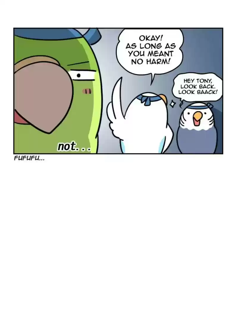 A Budgie's Life Chapter 360: Ep.358: