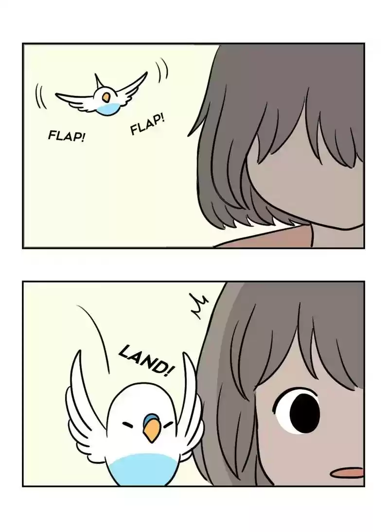 A Budgie's Life Chapter 361: Ep.359: