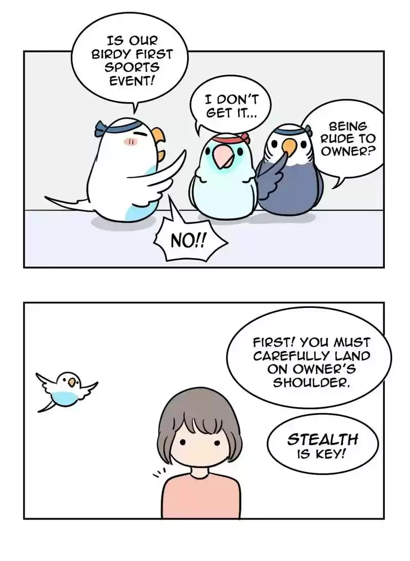 A Budgie's Life Chapter 361: Ep.359: