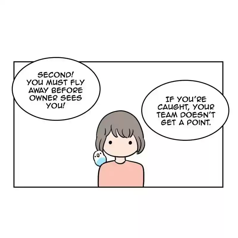 A Budgie's Life Chapter 361: Ep.359: