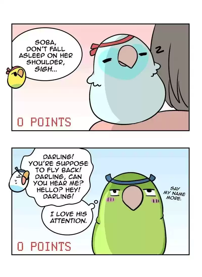 A Budgie's Life Chapter 361: Ep.359: