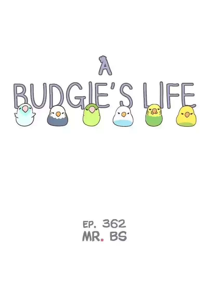 A Budgie's Life Chapter 362: Ep.360: