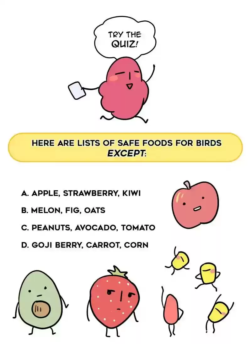 A Budgie's Life Chapter 362: Ep.360: