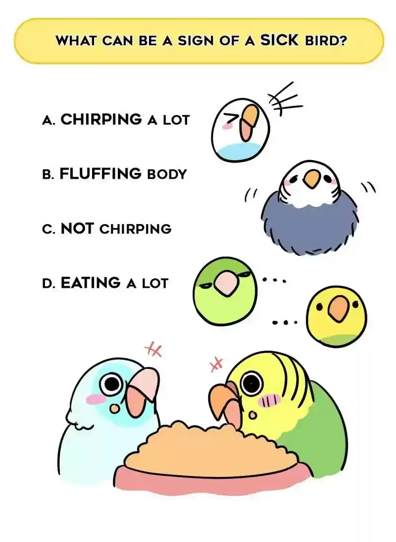 A Budgie's Life Chapter 362: Ep.360: